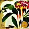 Jungle、Sofia Kourtesis - GOOD TIMES (Sofia Kourtesis Remix)