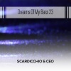 Scardicchio & Ceo - Skipper (Radio Vrs. With Melody)