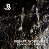 Mesa、Ayden Vice - Looking into a Mirror