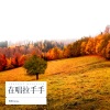 默默Aimo - 妹妹在唱拉手手