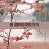 DJRN、DJRZ - 傻傻的爱傻傻等待 (DJRN remix)