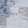 JANGHEUMYE、好多鱼、贤贤贤贤砸 - Bird