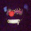 BEAR GRIEVES - 9-5 (Explicit)