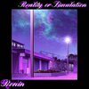 Ronin - Reality or Simulation