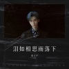 张天宇 - 泪如相思雨落下