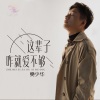 樊少华 - 这辈子咋就爱不够 (DJ伟然版)