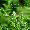Música De Relajación Para Dormir Profundamente、Sonido de lluvia、Para la concentración - Aguas Que Corren