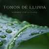Ruido Del Sueno、Relajantes sonidos de lluvia、Relajacion Meditar Academia - Lluvia De Vida