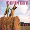 Conway Twitty - Play, Guitar Play (Single Version)