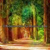 Yoga Workout Music - Brief Enclosing Peace