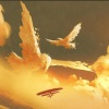 BUXEDO - Flying