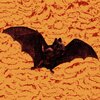 Gamera - Dark City