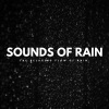 Music of Nature、Water FX、ASMR For Sleep《More and More Rain》[MP3/LRC]