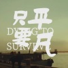 张同学呀 - 只要平凡