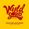 FOLEY (UK)、ROYLE4NINE - You Got My Mind