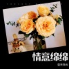 朝天辫儿 - 情湖水