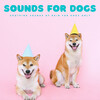 Music For Dogs Peace、Reiki for Animals、Relaxing Water Sounds - Sleepy Dog