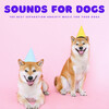 Relaxing Dog Music Society、Baby Soothing Music for Sleep、Instant Relax - Barks And Smiles