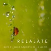 Reiki y Tai Chi Armonía、Ruido de Meditación、Sonidos de Lluvia y Viento《Puente Del Arco Iris》[MP3/LRC]