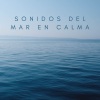 Reiki Consorte de Curación、Sonidos de la Naturaleza Relax、Olas del Mar《Ola Calmada》[MP3/LRC]