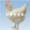 空白名 - 这里是神鸡的鸡尔号