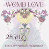 Solfeggio Frequencies Tones - The Love Womb
