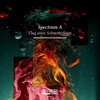 Spectrum A - Agressiva (Original Mix)