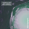Arnaud Le Gamin - One of Nine