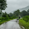 Rain for Deep Sleep、Pro Sound Effects Library、Digiffects Sound Effects Library - raindrops