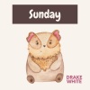 Drake White - The Work of Black