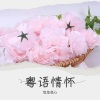 悠悠我心 - 月半小夜曲