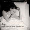 Sleepy Pets、Sleep Music Playlist、Ultimate Piano Relaxation - Chilled Piano
