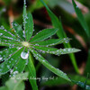 Classical Piano Playlist、Aquagirl、Relaxation - Baby Rain Lullaby
