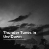 Thunderstorm Sound Bank、Sounds of Thunderstorms & Rain、Thunderstorms Sleep Sounds《Glorious Thunderbolt》[MP3/LRC]