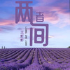 王虾虾 - 两者间