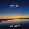 Joe Mate - Daylight Flying
