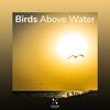 Birds Above Water、Spa Relaxation & Spa - Amazing Tones for Rest