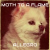 Allegro《Moth to a Flame》[MP3/LRC]