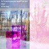 Sky Soul、Corgan Wilson - rosebud