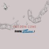 CLiVe、Zamar In The Spirit、Friends《Freedom Come (feat. Zamar In The Spirit)》[MP3/LRC]