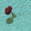 Ben L'Oncle Soul - A Rose...