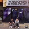 Stefan、SHADY - Te Arunc in Ocean (feat. Ștefan)(Explicit)