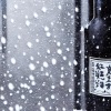 Roosevelt - Sake Saturday