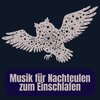 Schlafmusik Akademie、Musik für Tiefenschärfe、Meditation Einschlafen - Musik für Nachteulen zum Einschlafen, Pt. 1