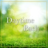 maria graf、irena grafenauer、David Geringas - J.S. Bach: Sonata for Flute or Violin No.4 in C, BWV 1033 - 1. Andante - Presto