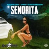 D'Yani、Maestro Don - Señorita (Explicit)