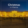 WienerWunderAllerlei、Gerald Wirth、wiener sängerknaben《Pierpont: Jingle Bells》[MP3/LRC]