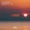 ColorJaxx - Reusable Life