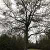 turbant - :c (Explicit)