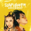 CHICHA22、Kim Chi Sun、charles. - Sunflower Driveway